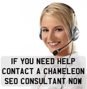 Contact an SEO Consultant